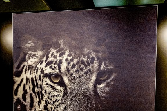 Tanner Werbetechnik - Eingangsbild Spanndrahmen, Schwarz, Drucktiefe