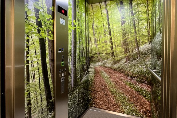 Liftverkleidung mal anders Liftbeschichtung, Lift, Folie, Druck, Wald, Bilder