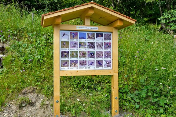 Waldlehrpfad Lumbrein - Infotafeln Hinweisschilder, Infotafeln