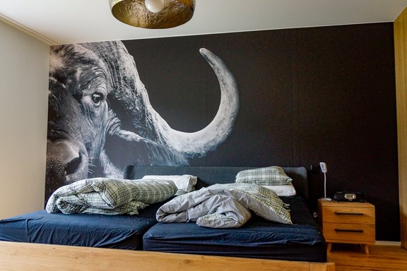 Ein Wandbild im Schlafzimmer? Wandbild, Druck, Digitaldruck, Bild, Zimmer