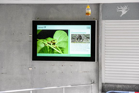 Tierpark Langen Erlen, Übersicht digitale Werbung, Bildschirmanzeige