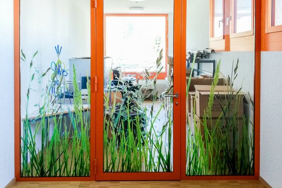 Schulhaus Galstramm - bedruckter Sichtschutz Schulanlage, Sichtschutz, Folie, bedruckt