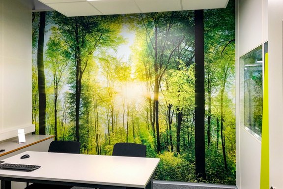 Etimark - Wandbild im Sitzungszimmer Sitzungszimmer, Plattendruck, Dschungel, Bilder