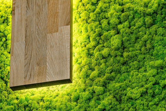 Mooswand, Detail Mooswand, Detail